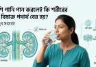 বেশি পানি পান করলেই কি শরীরের সব বিষাক্ত পদার্থ বের হয়ে যায়? জানুন সত্যতা