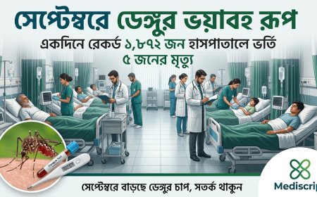 সেপ্টেম্বরে ডেঙ্গুর ভয়াবহ রূপ: একদিনে রেকর্ড ১,৮৭২ জন হাসপাতালে ভর্তি
