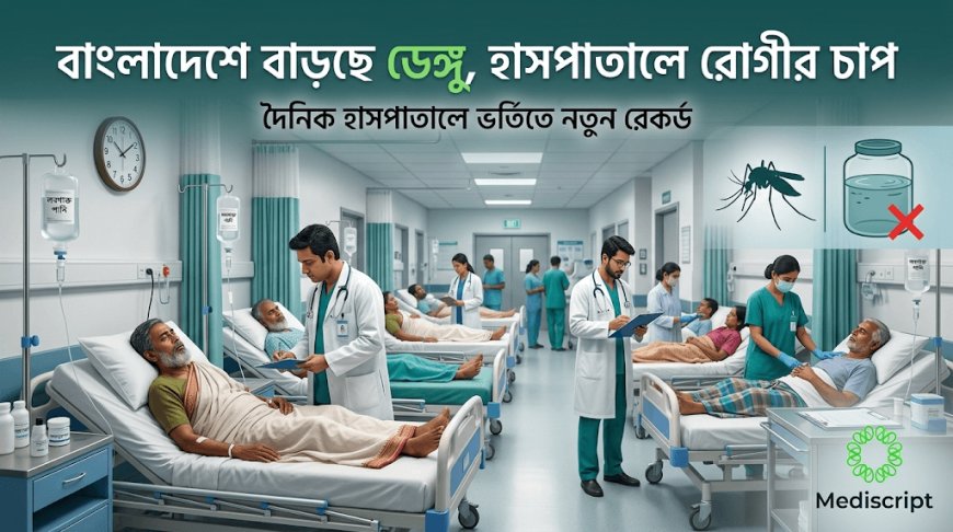 বাংলাদেশে ডেঙ্গুর ভয়াবহ বিস্তার: হাসপাতালে বাড়ছে রোগীর চাপ
