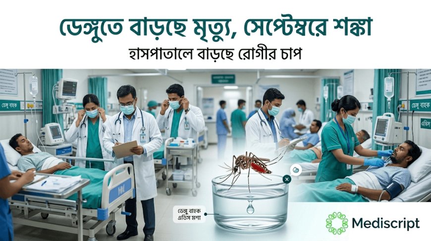 ডেঙ্গুতে বাড়ছে মৃত্যু, সেপ্টেম্বরে পরিস্থিতি আরও ভয়াবহ হওয়ার শঙ্কা