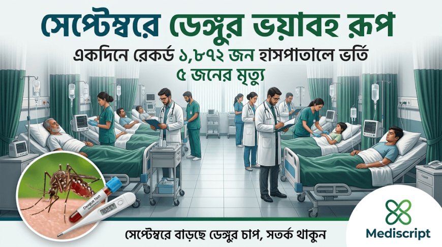 সেপ্টেম্বরে ডেঙ্গুর ভয়াবহ রূপ: একদিনে রেকর্ড ১,৮৭২ জন হাসপাতালে ভর্তি