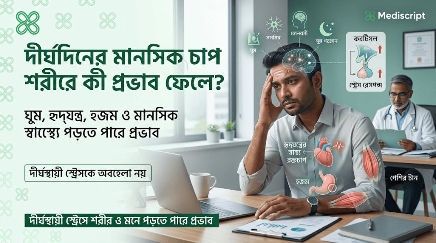 দীর্ঘদিনের মানসিক চাপ শরীরে কী প্রভাব ফেলে? বিশেষজ্ঞরা যা বলছেন