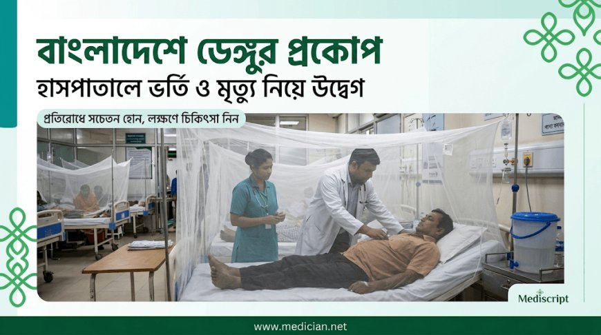 বাংলাদেশে ডেঙ্গু পরিস্থিতির অবনতি: বাড়ছে হাসপাতালে ভর্তি ও মৃত্যুর সংখ্যা